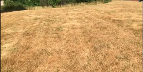 Le département du Nord placé en vigilance sécheresse